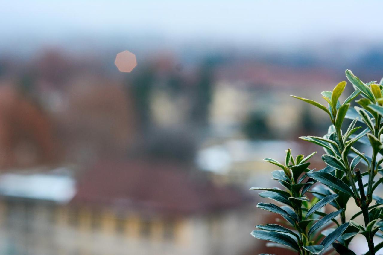 Sunny Side I Turin Suite Exterior foto